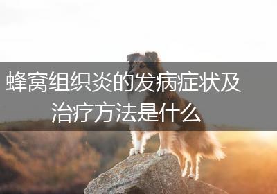 蜂窝组织炎的发病症状及治疗方法是什么