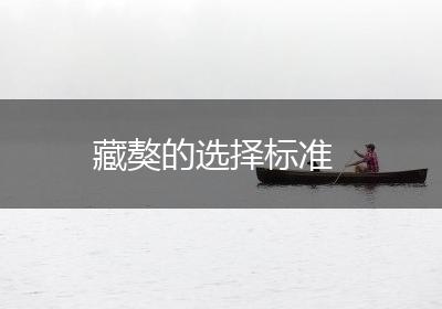 藏獒的选择标准