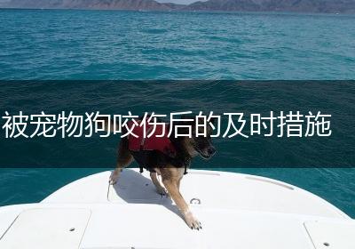 被宠物狗咬伤后的及时措施