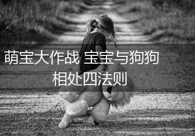 萌宝大作战 宝宝与狗狗相处四法则