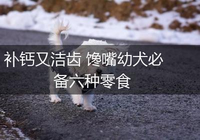 补钙又洁齿 馋嘴幼犬必备六种零食