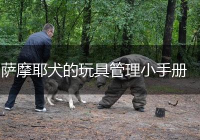 萨摩耶犬的玩具管理小手册