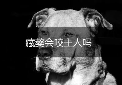 藏獒会咬主人吗