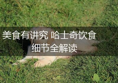 美食有讲究 哈士奇饮食细节全解读