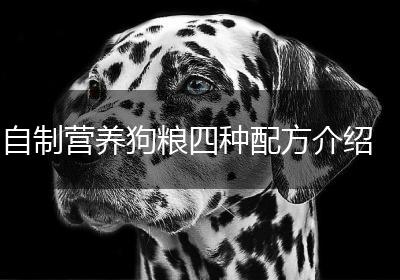 自制营养狗粮四种配方介绍