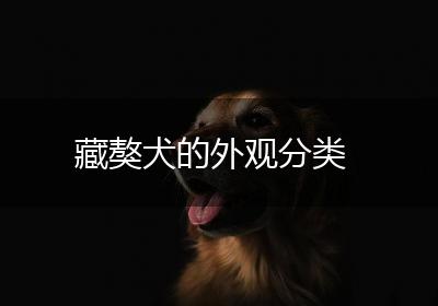 藏獒犬的外观分类