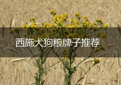 西施犬狗粮牌子推荐