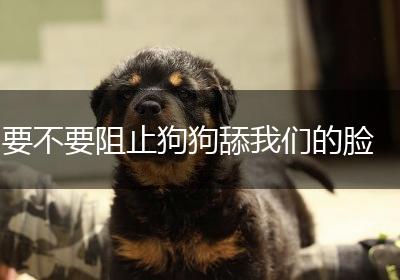要不要阻止狗狗舔我们的脸