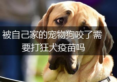 被自己家的宠物狗咬了需要打狂犬疫苗吗