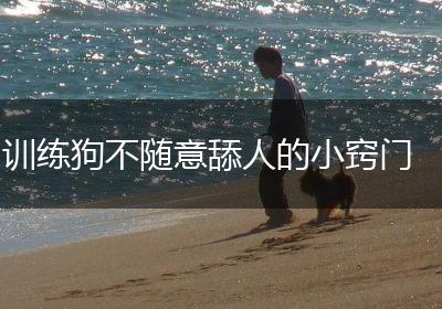 训练狗不随意舔人的小窍门