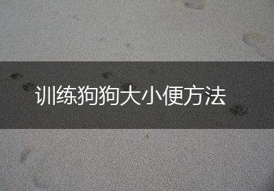 训练狗狗大小便方法