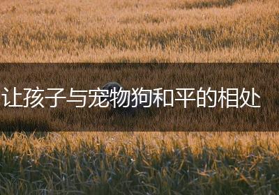 让孩子与宠物狗和平的相处