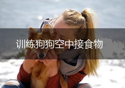 训练狗狗空中接食物