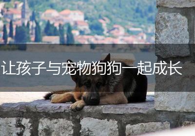 让孩子与宠物狗狗一起成长