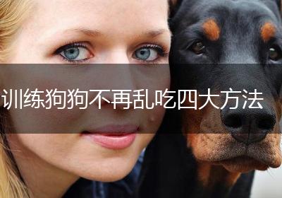 训练狗狗不再乱吃四大方法