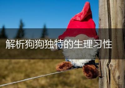 解析狗狗独特的生理习性