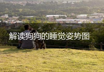 解读狗狗的睡觉姿势图