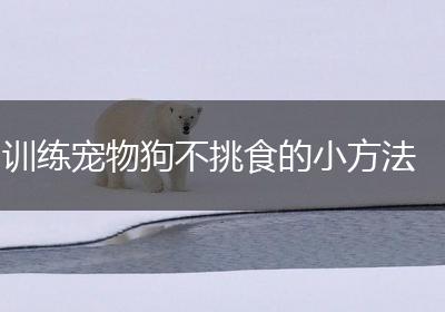 训练宠物狗不挑食的小方法