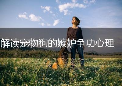 解读宠物狗的嫉妒争功心理