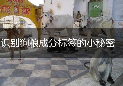 识别狗粮成分标签的小秘密