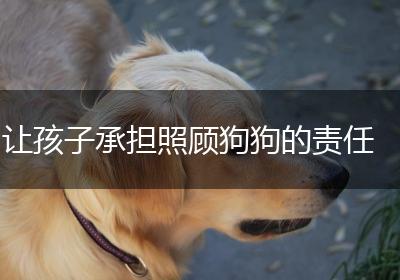 让孩子承担照顾狗狗的责任