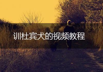 训杜宾犬的视频教程
