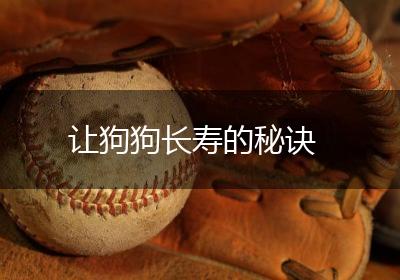 让狗狗长寿的秘诀