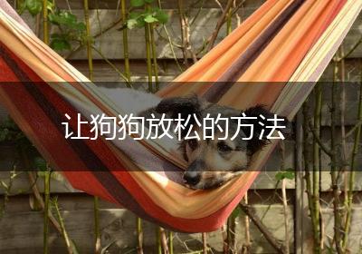 让狗狗放松的方法