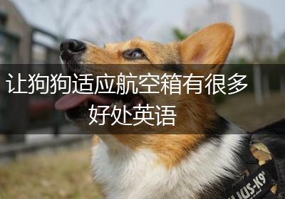 让狗狗适应航空箱有很多好处英语