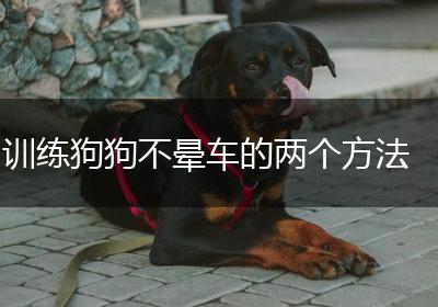 训练狗狗不晕车的两个方法