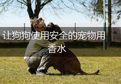 让狗狗使用安全的宠物用香水