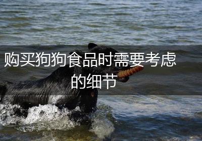购买狗狗食品时需要考虑的细节