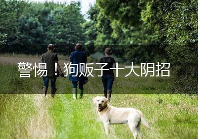 警惕！狗贩子十大阴招