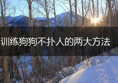 训练狗狗不扑人的两大方法