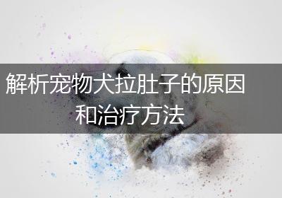 解析宠物犬拉肚子的原因和治疗方法