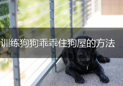 训练狗狗乖乖住狗屋的方法