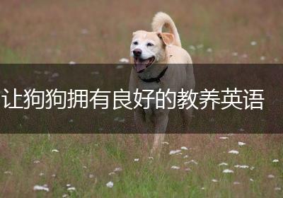 让狗狗拥有良好的教养英语