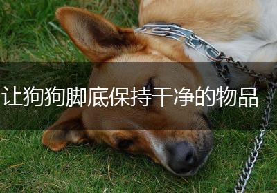 让狗狗脚底保持干净的物品