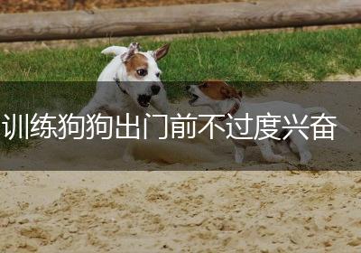 训练狗狗出门前不过度兴奋