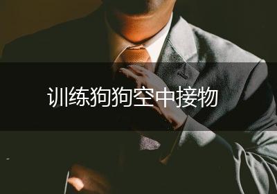 训练狗狗空中接物