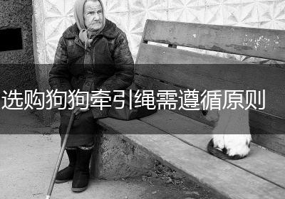 选购狗狗牵引绳需遵循原则