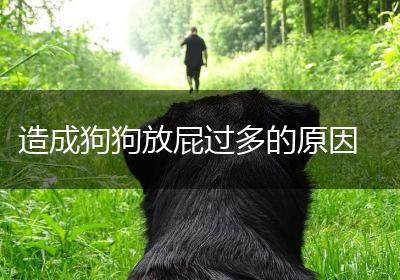 造成狗狗放屁过多的原因