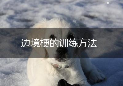 边境梗的训练方法