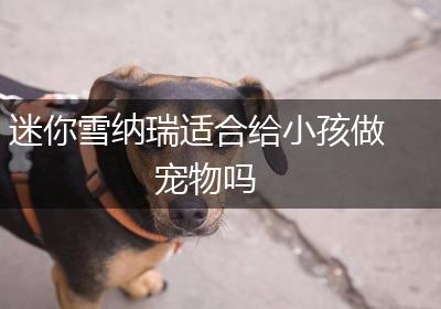 迷你雪纳瑞适合给小孩做宠物吗