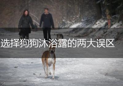 选择狗狗沐浴露的两大误区