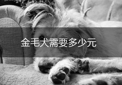 金毛犬需要多少元