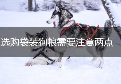 选购袋装狗粮需要注意两点