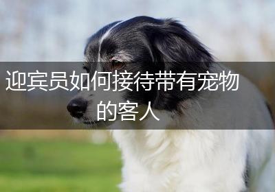 迎宾员如何接待带有宠物的客人