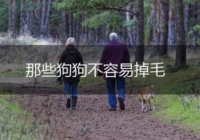 那些狗狗不容易掉毛