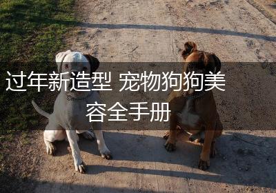 过年新造型 宠物狗狗美容全手册
